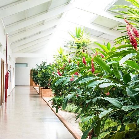 Hotel Vila Verde Penápolis المظهر الخارجي الصورة